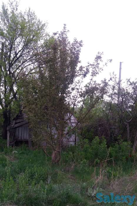 Продам дачу, Рассвет-2 Дачный массив, фотография 2