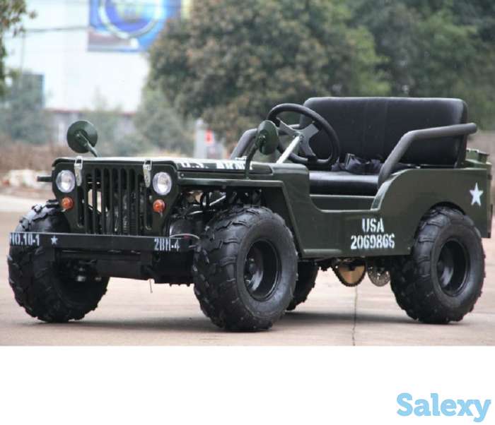 Для детей и взрослых мини джип., фотография 3