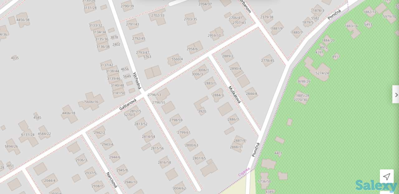 Словакия - продаю 3/4 своей доли в недвижимости-коттедже, ул. Mушкатова, дом 3, город Левице, Нитрианский край, Евросоюз, фотография 2