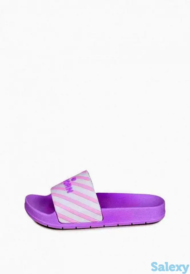 Сланцы t.taccardi, фотография 2