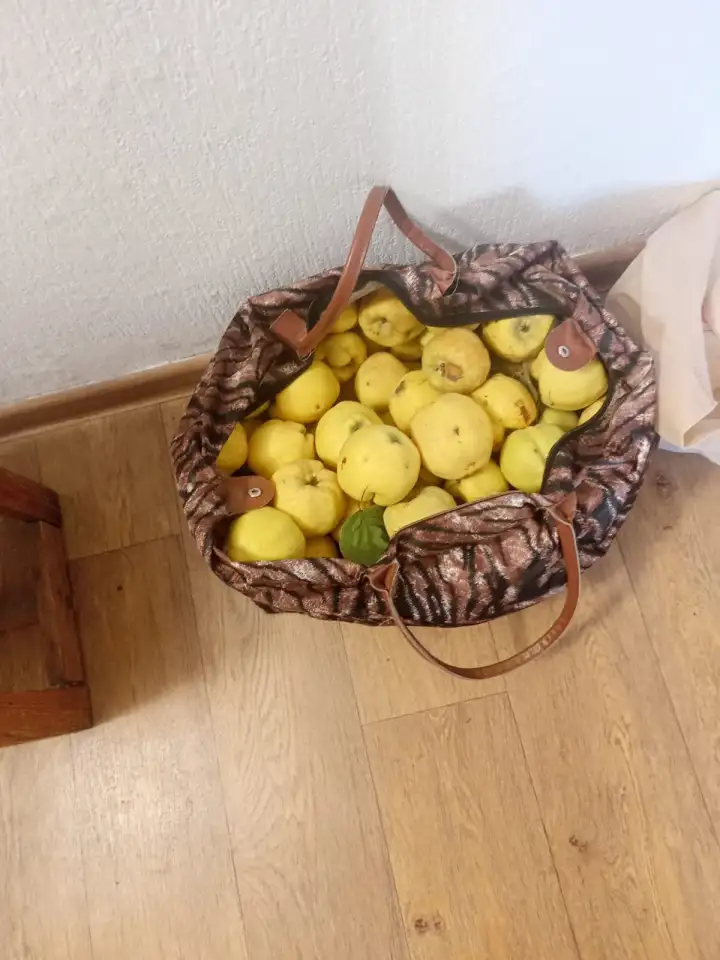 продажа айвы, фотография 1