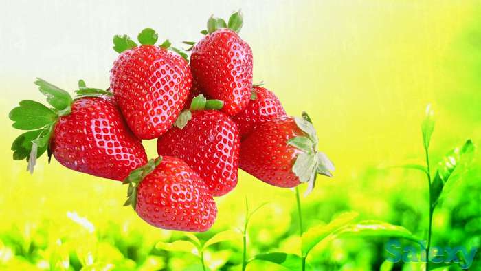 Чудо ягодница «Сказочный сбор» клубника, фотография 1