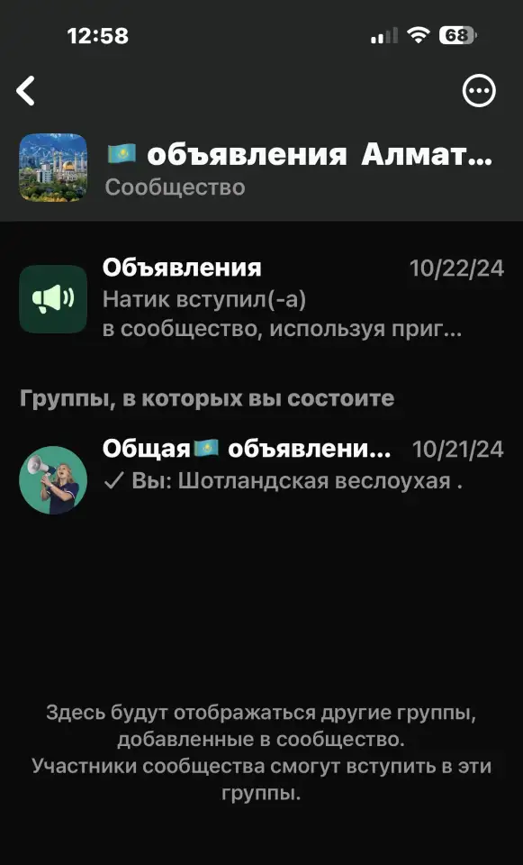 В группе WhatsApp есть сообщество      Объявления Алматы   Общая, фотография 1