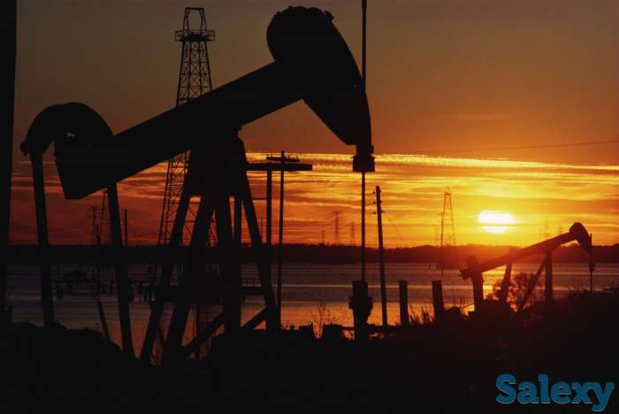 Дизельное топливо, фотография 1