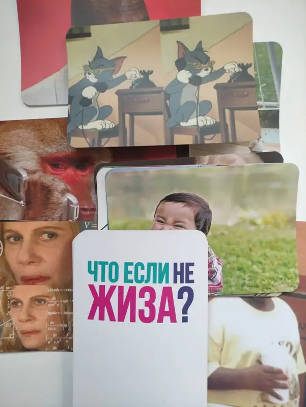 Настольная игра: Что если не Жиза Игра про мемы, фотография 5