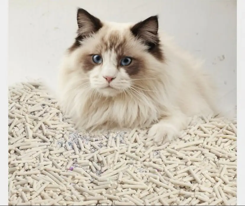 Комкующий наполнитель для кошек Тофу С Ароматами Зеленное яблоко, Вишня, Ваниль, Клубника, Нейтральный, фотография 9