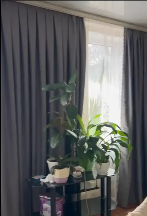 Зала жаа комплект штор сатылады. статыш сыйлыа, фотография 5