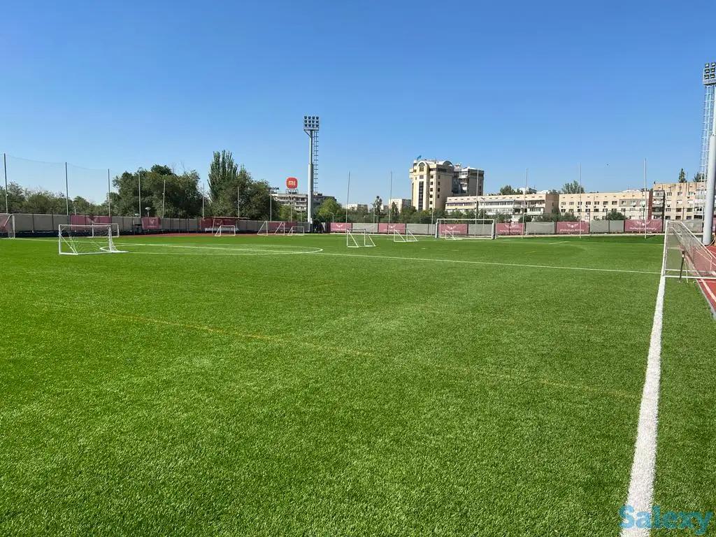 Аренда футбольного поля, фотография 1