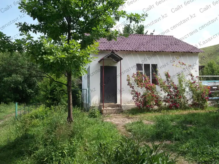 Детский оздоровительный лагерь ЭДЕЛЬВЕЙС  Текели, фотография 2