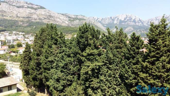 Четырехкомнатная квартира в Черногории, г.Бар, фотография 11