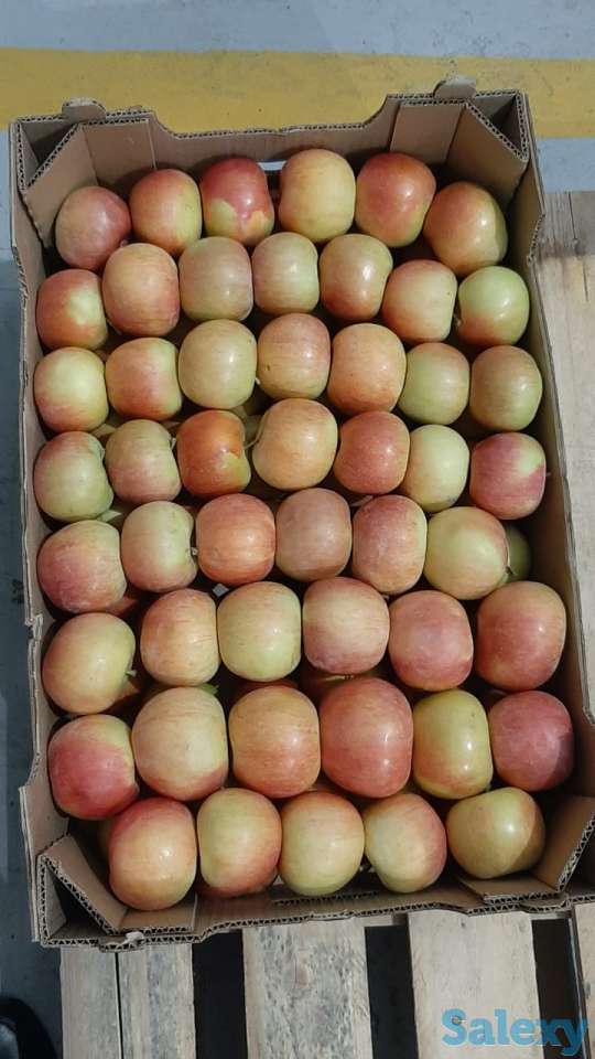 яблоки свежие, фотография 1