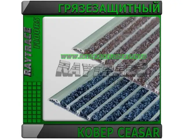 Антискользящее грязезащитное ковровое покрытие CEASAR, фотография 1