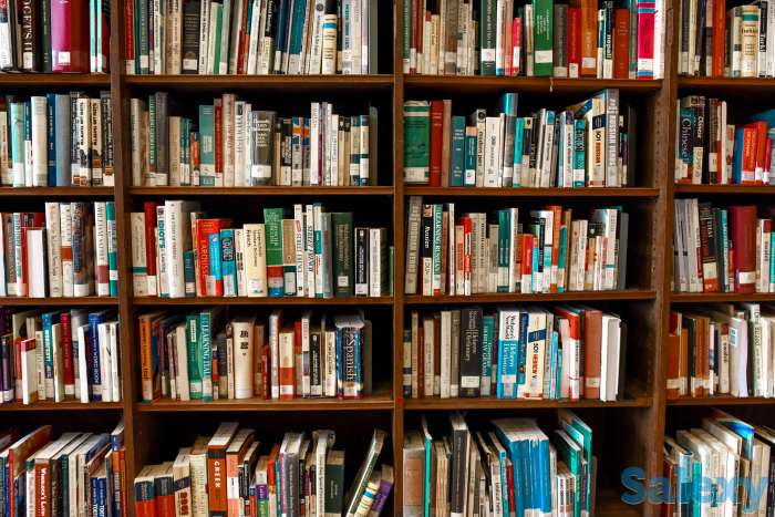 Услуги репетитора. Русский язык и литература., фотография 1