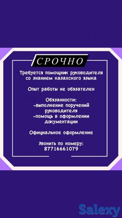 Требуется помощник руководителя со знанием казахского языка, фотография 1