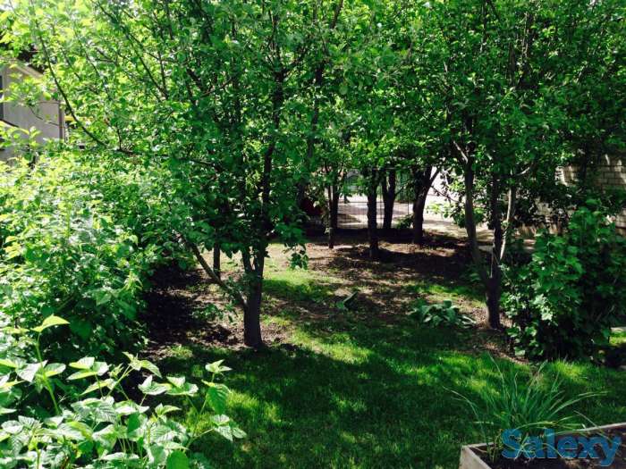 Дом, заговоренный на семейное счастье, фотография 3