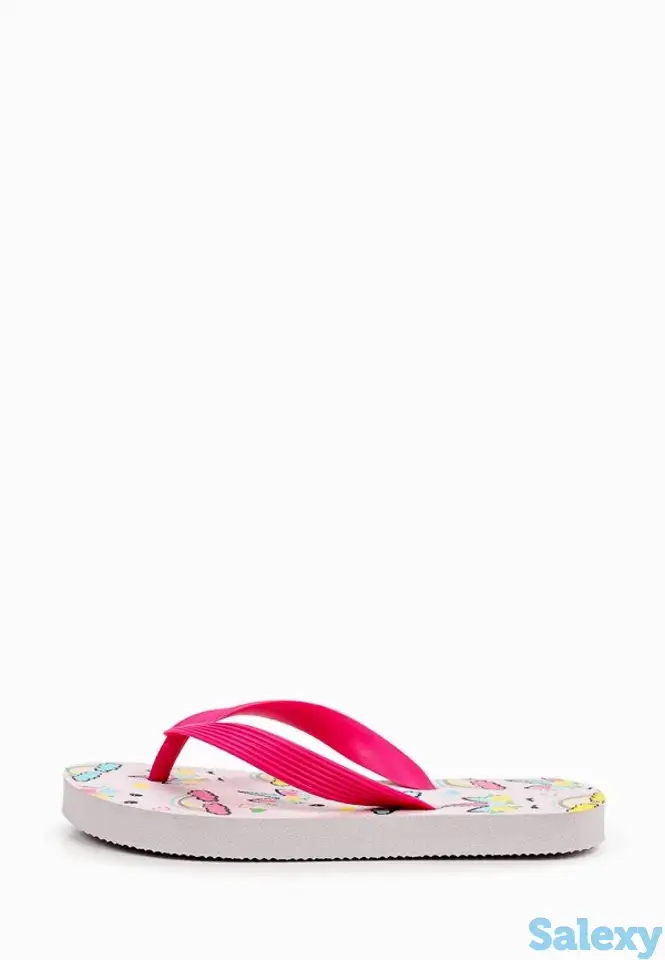 Сланцы t.taccardi, фотография 1