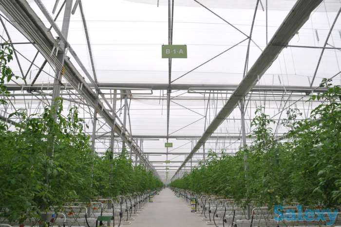 Современная турецкая теплица под ключ. Есть 4 варианта теплицы., фотография 3