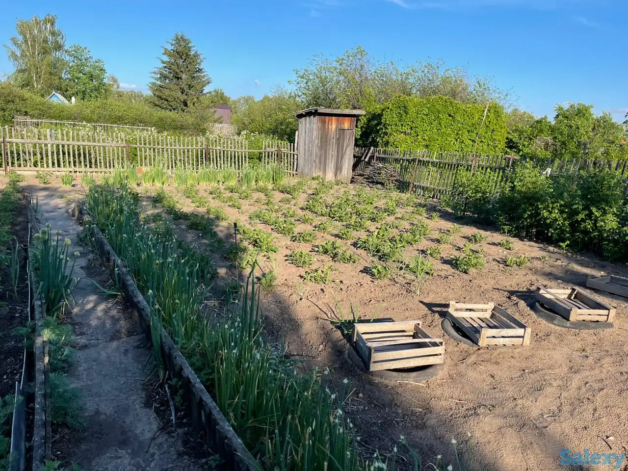 Дача. Петропавловск. Общество «Горизонт»., фотография 6
