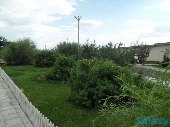 Отдых на озере Алаколь, фотография 4