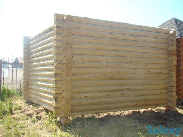 Оцилиндрованное бревно с чашками и без., фотография 2