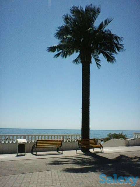 Набережная, море.курить запрещено, евроремонт, фотография 1