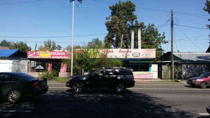 Продам Дом под бизнесс, Райымбека, Немировича-Данченко, фотография 1