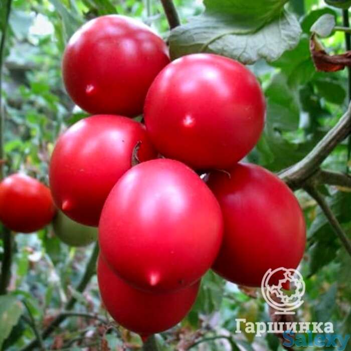 Семена Томат Де барао розовый 20шт, фотография 1