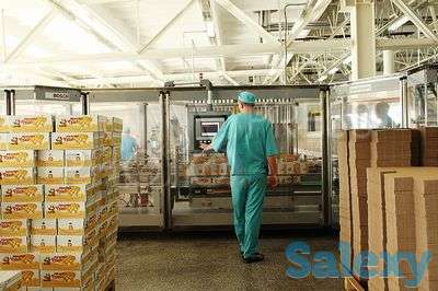 Разнорабочие в Белгородскую область РФ, фотография 5