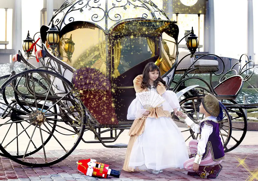 аренда кареты, фотография 17