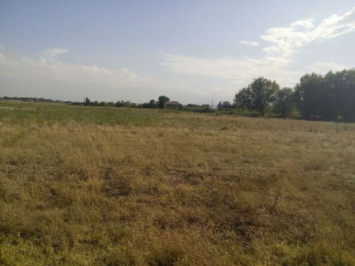 Продажа зем.участков для ведение товарного сельского хозяйства (КХ) в пос. , фотография 2