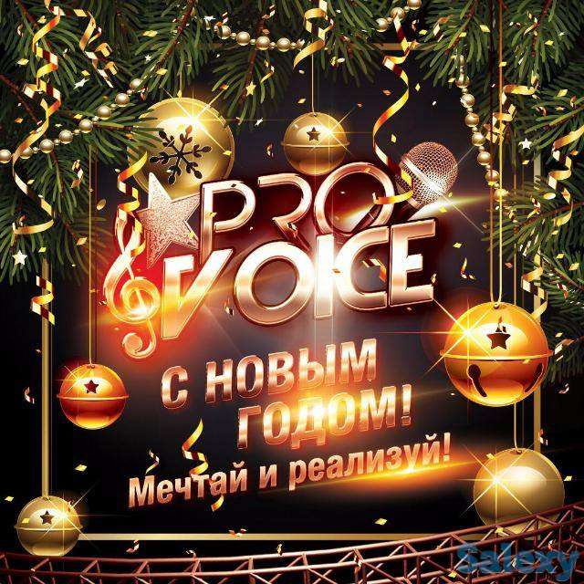 Творческая студия ProVoice приглашает на пробный урок по вокалу., фотография 1