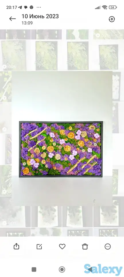 Картины из стабилизированного мха, фотография 1