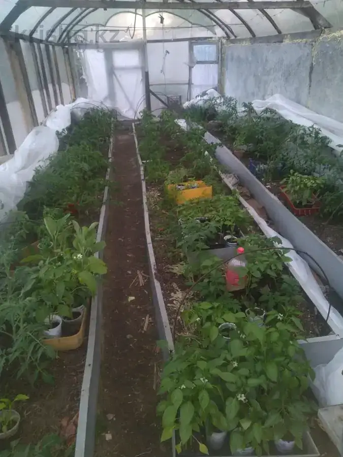 Кирпичный дом на большом участке, Усть-Каменногорск, ул. Щербакова, д. 31а, фотография 17