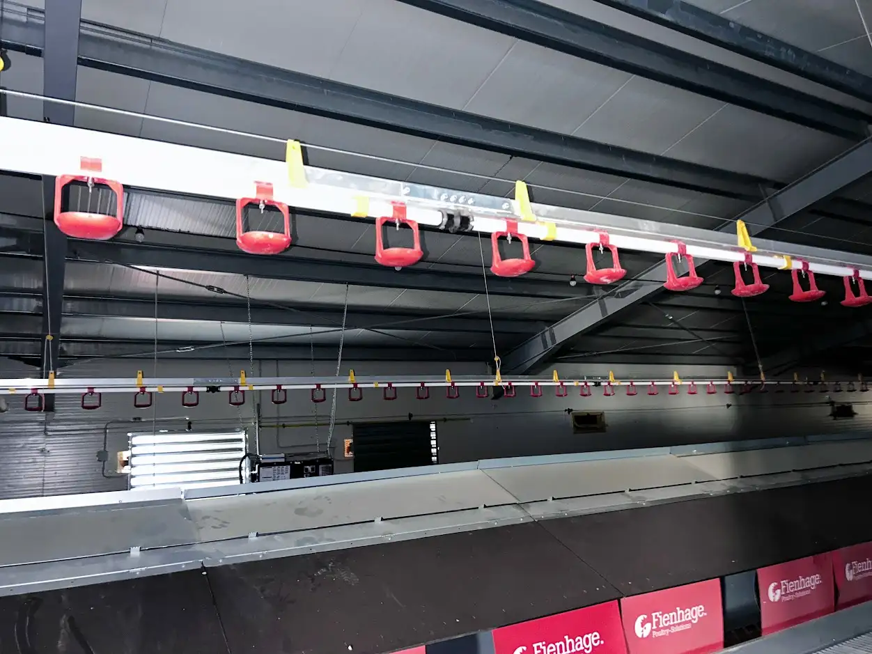 Сельскохозяйственный комплекс - Птицефабрика и теплица., фотография 5