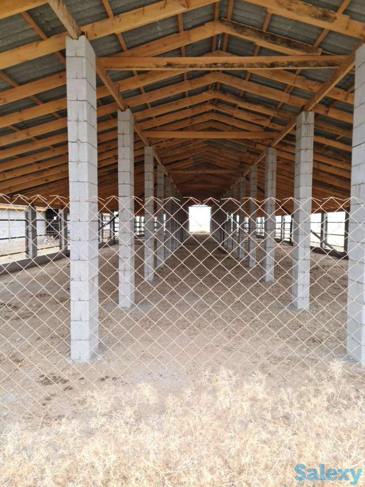 Фазенда (ферма), Капчагай-Курты 25 км, фотография 8