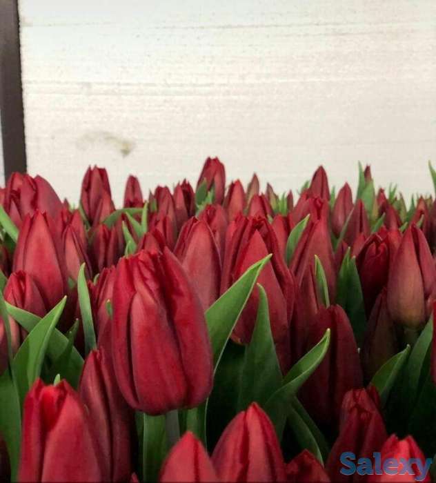 Цветочная поляна, фотография 2