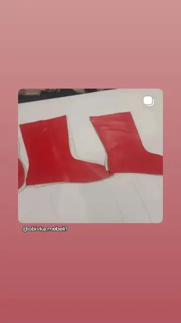 Мси шью, фотография 3