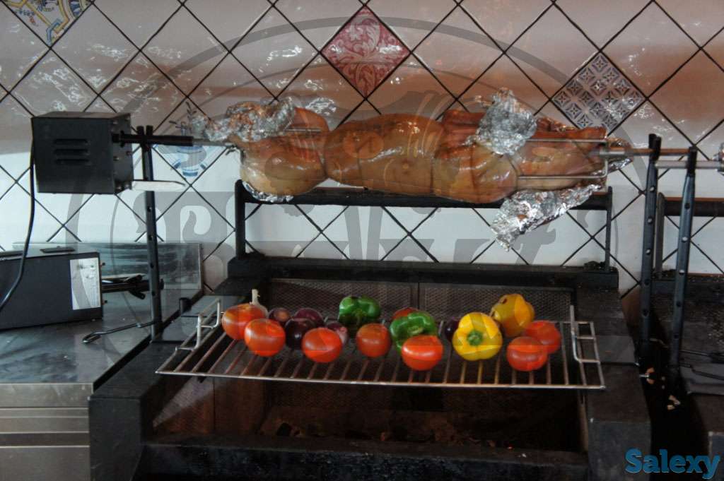 Производство и продажа электро-вертелов, фотография 7