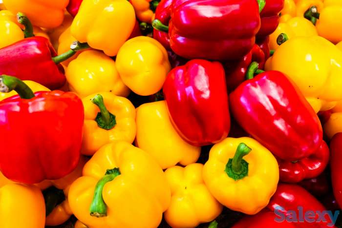 Продам рассаду перца., фотография 2