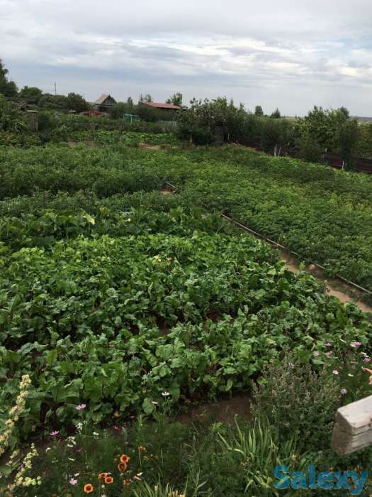 Продам дачу в обществе Союз, фотография 3