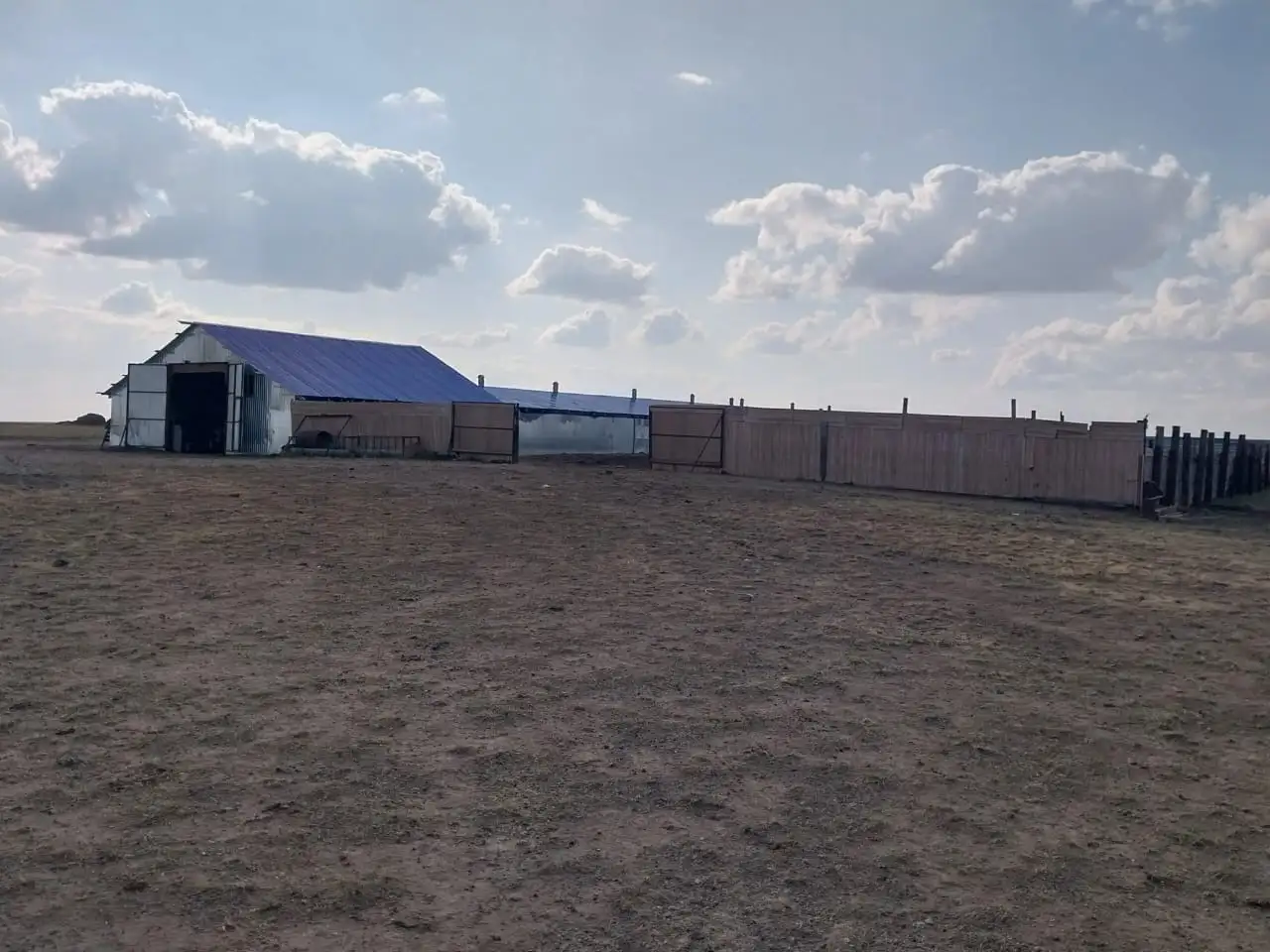 Продам готовое КХ, фотография 2