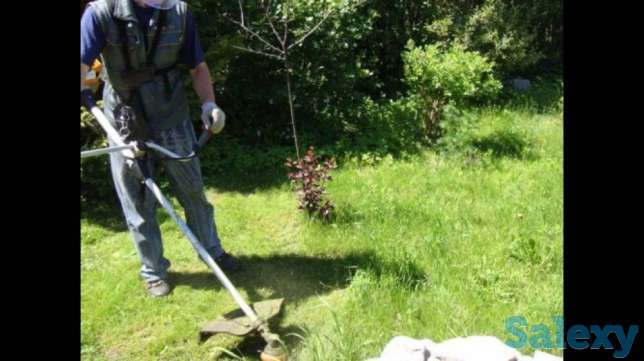 Покос Стрижка травы, фотография 2