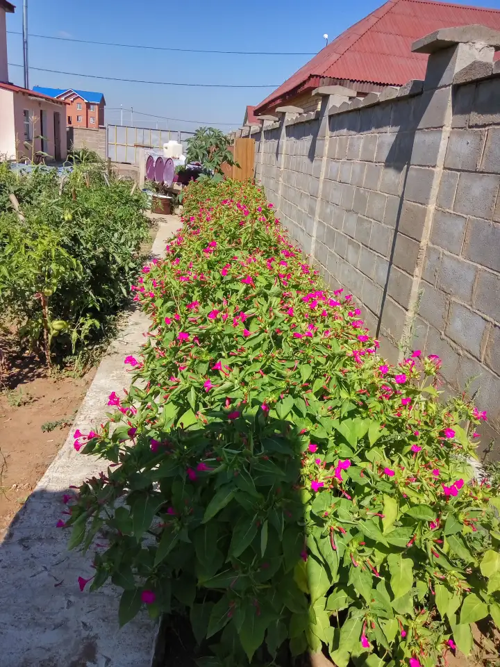 продам дом, Тайтобе. ул.Б.Байкадамов 32, фотография 10