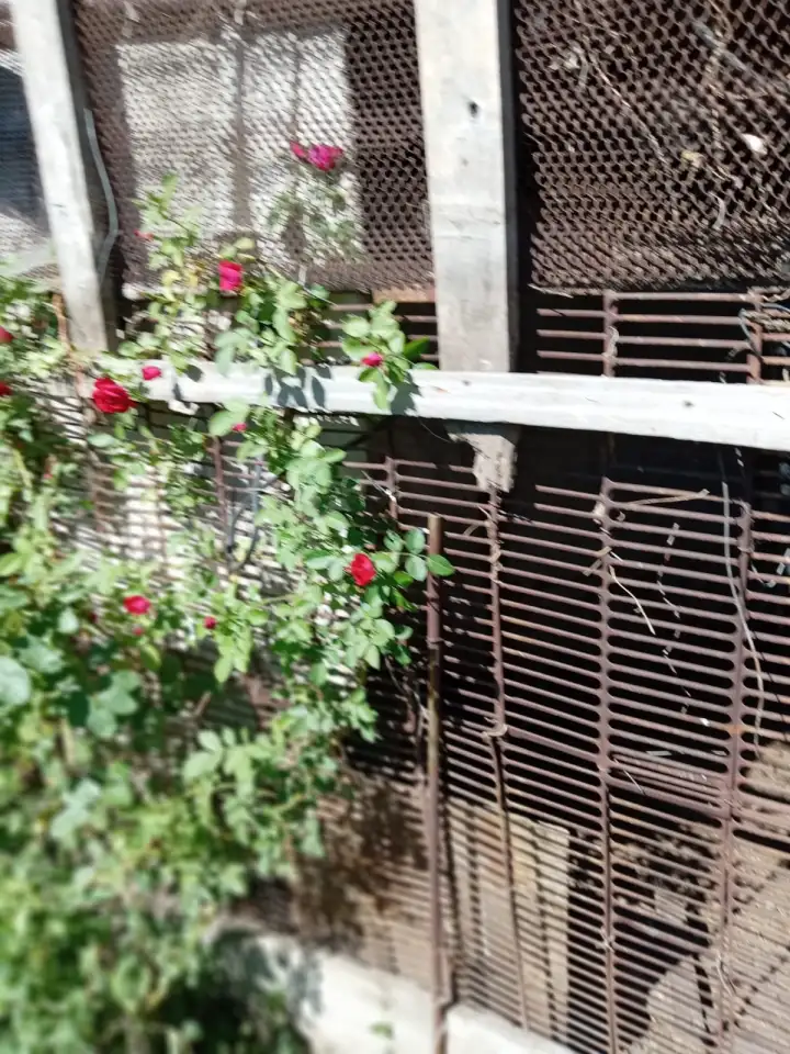 ПРОДАМ ДОМ В ДАЧНОМ КООПЕРАТИВЕ ТАМАРИКС зимний вариант, фотография 1