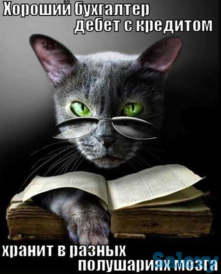 Опытный лектор бухгалтер, фотография 1