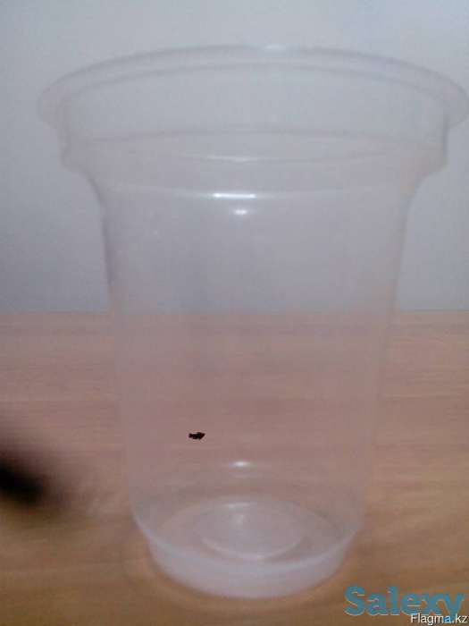 Стаканы под молочную продукцию, фотография 1