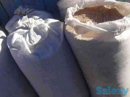 Продам зерноотходы  и пшеницу, фотография 1