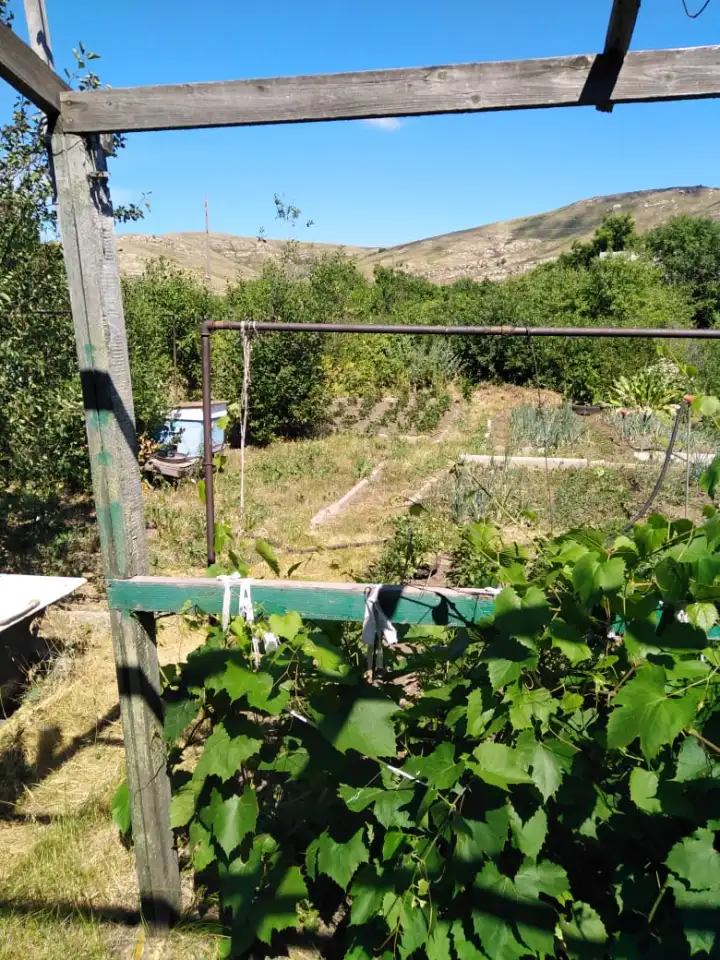 Продам дачу на удачу, с.о. 