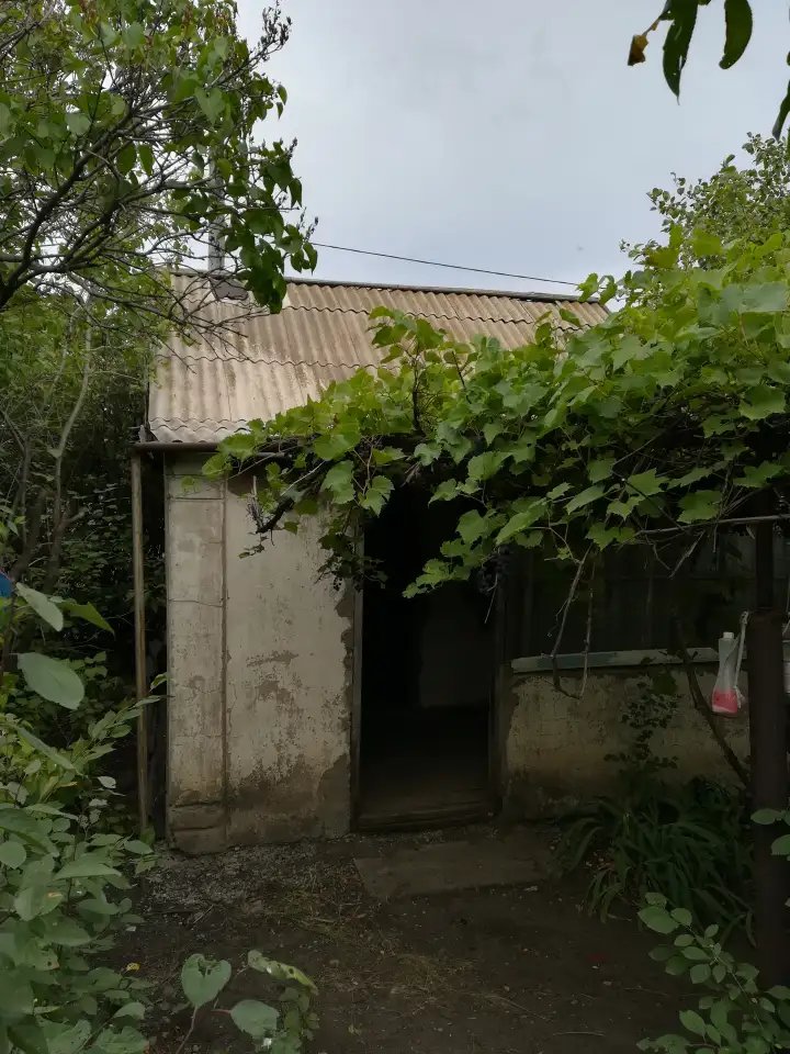 Дачный участок в обществе Локомотив, фотография 5