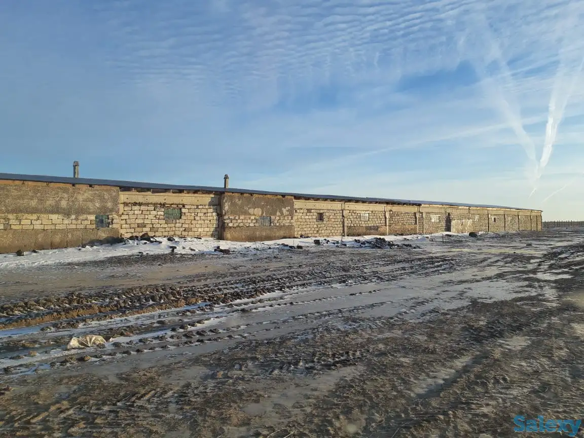 Продам крестьянское хозяйство в 100 км от Уральска, фотография 14